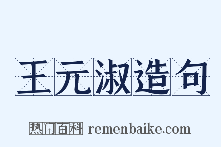 王元淑造句是什么意思的图片